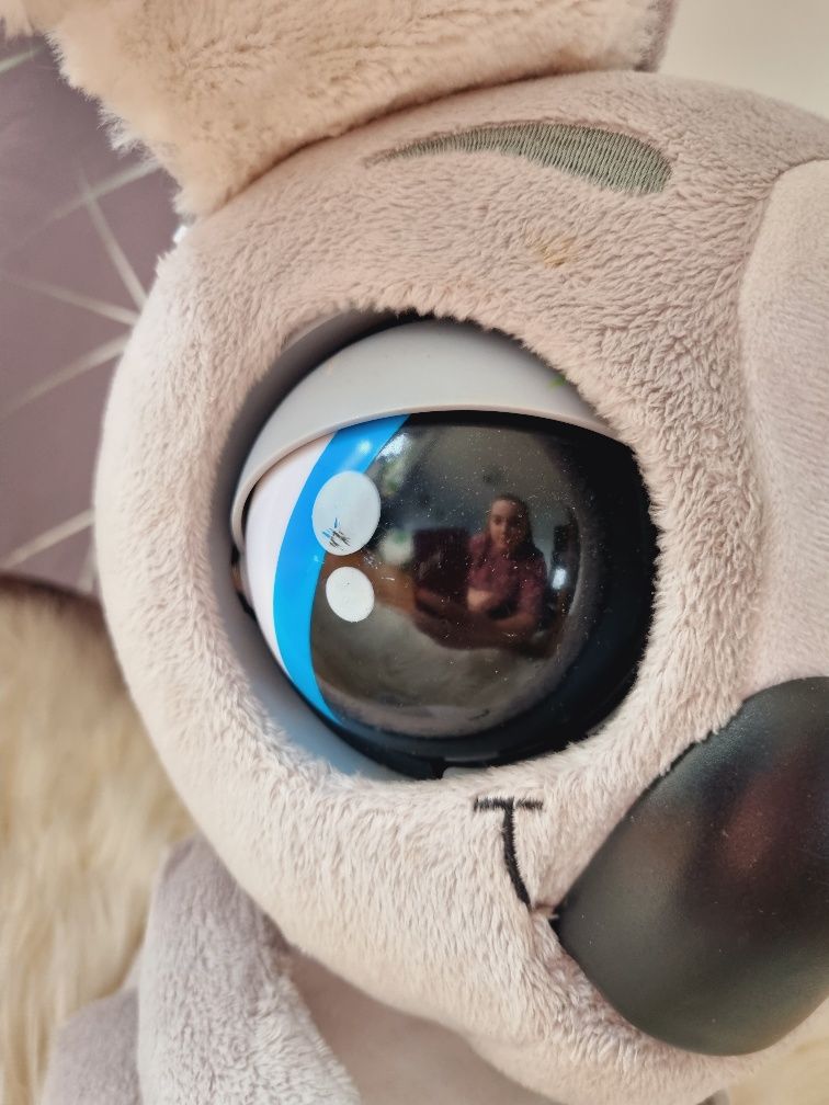 Interaktywna koala kao kao dla dzieci