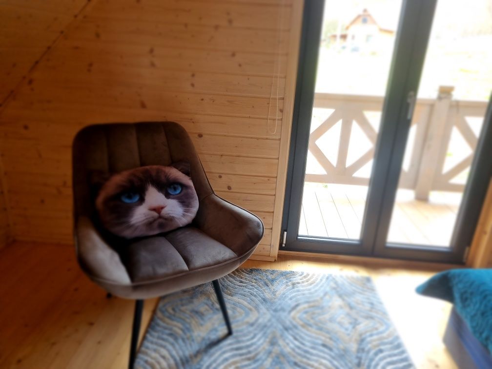 Domek w Gótach Sowich, Góry Sowie, Sudety, wakacje, wolne terminy