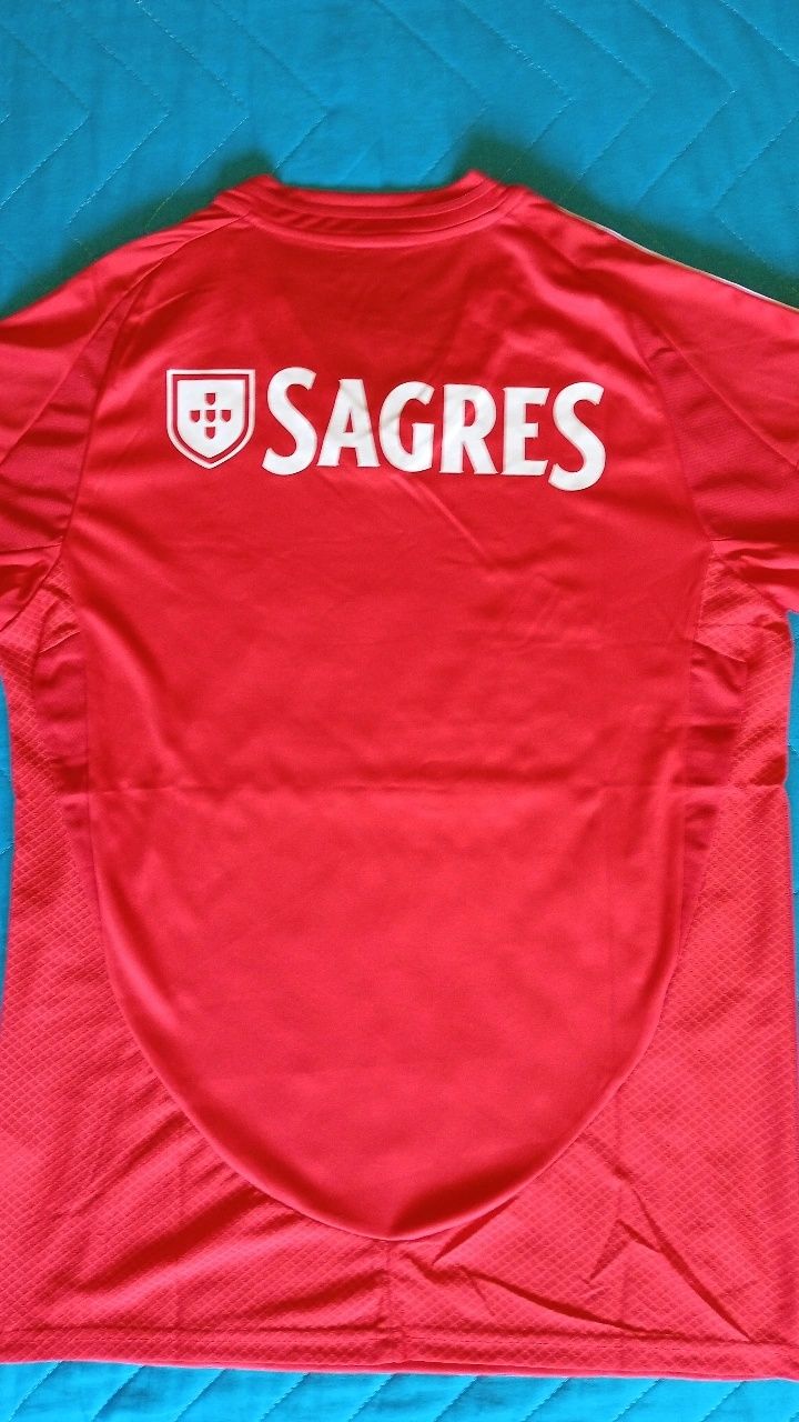 Camisola principal Benfica 24/25