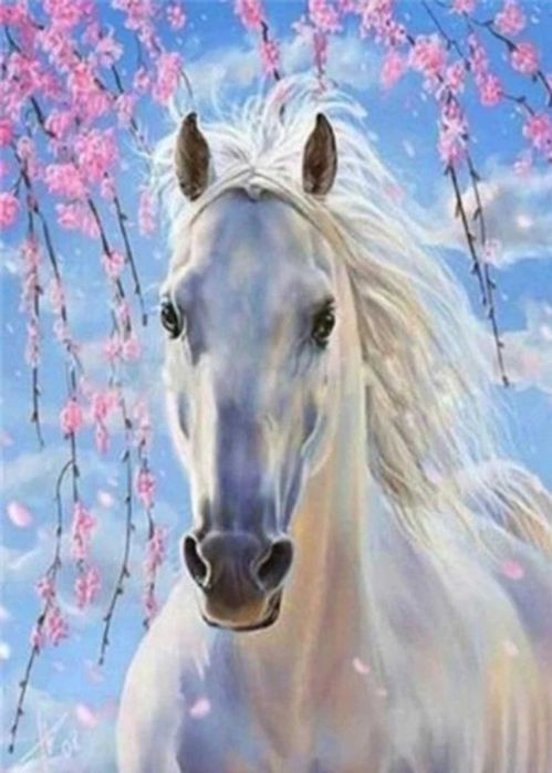 Malowanie Po Numerach Koń Obraz z Ramą 40x50