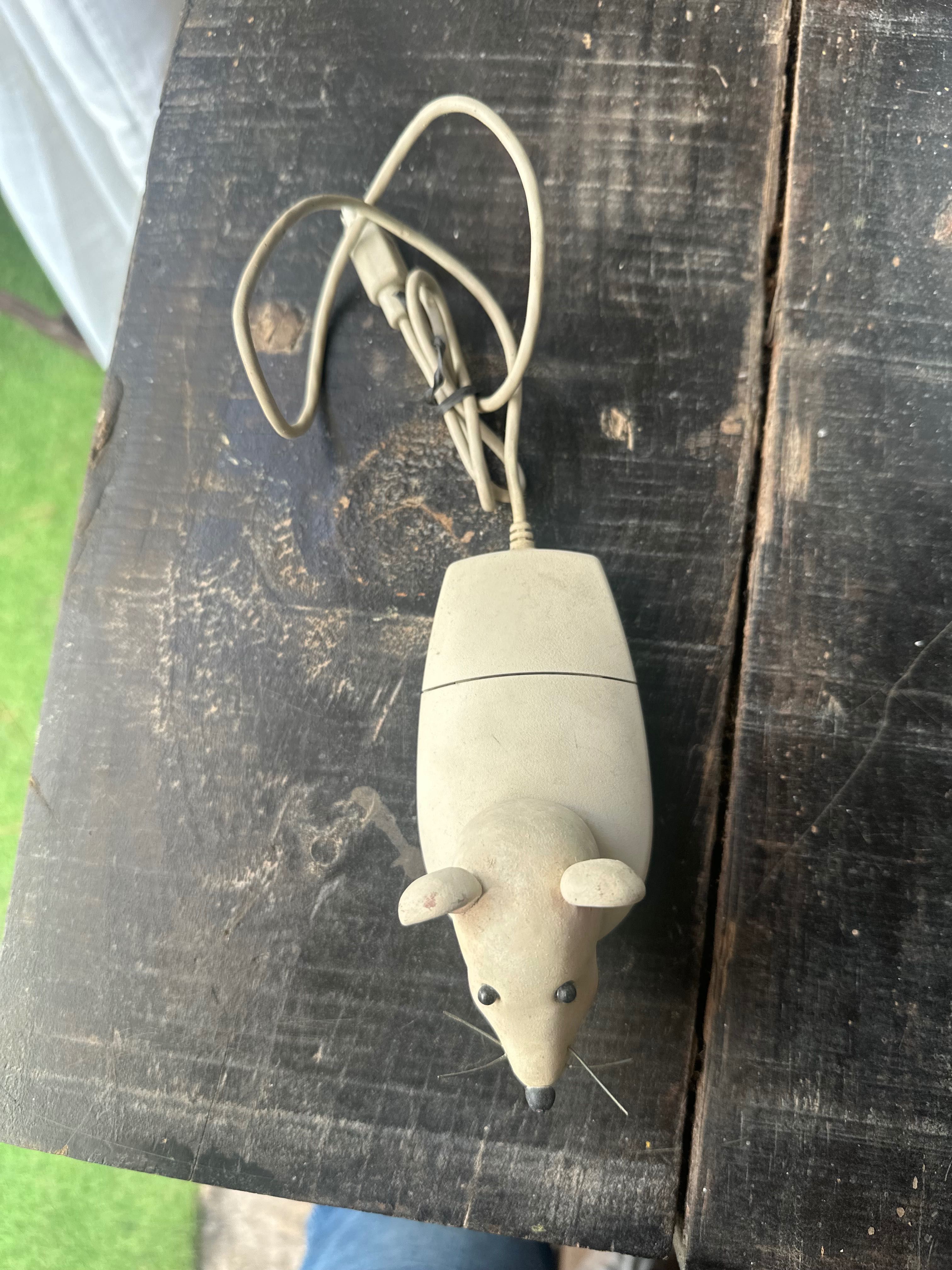 Rato Computador Coleção