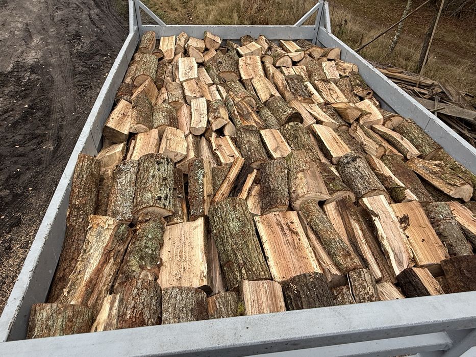 Drewno Kominkowe Buk Dąb