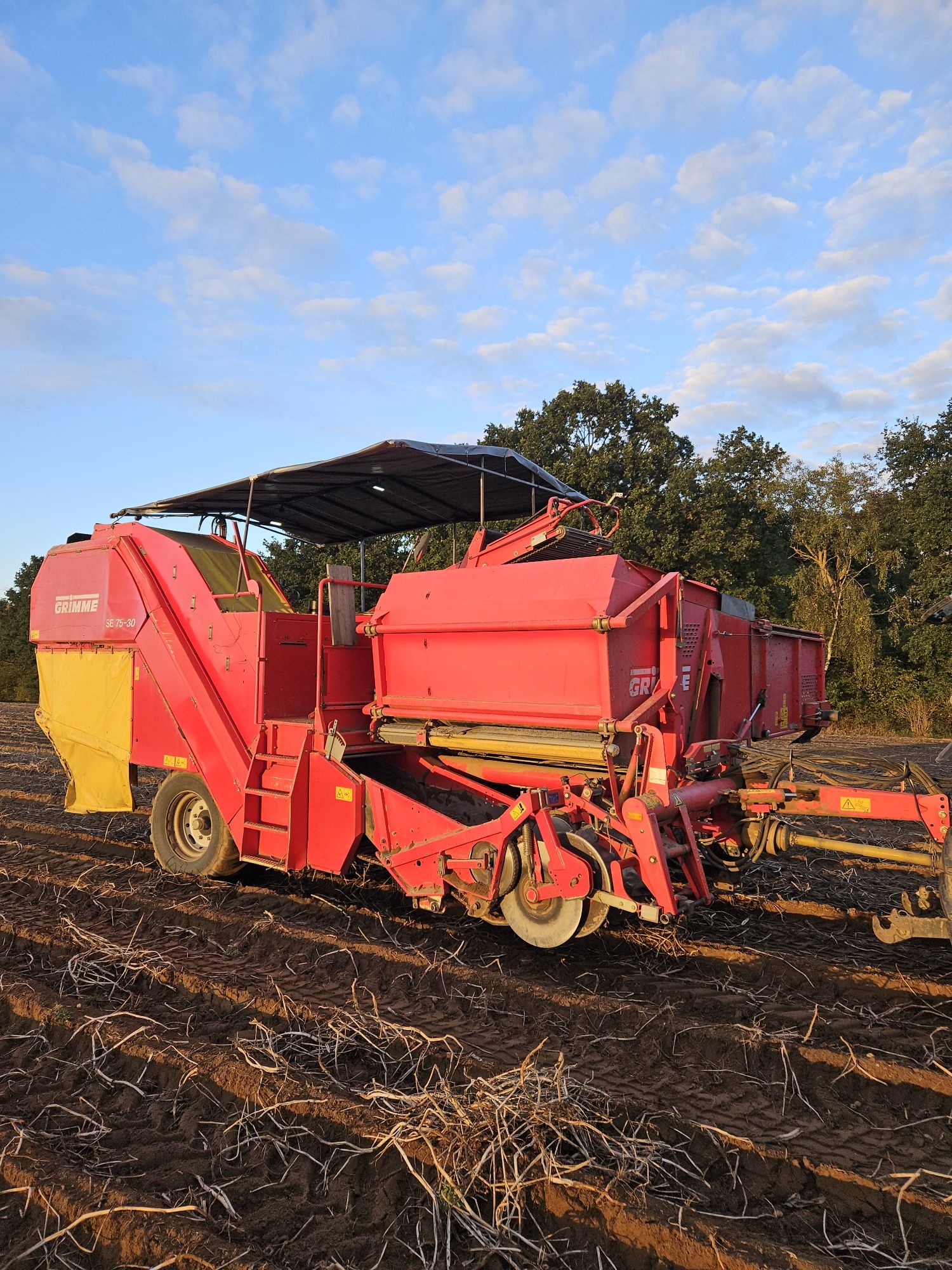 Grimme  se75 - 30 sortownia