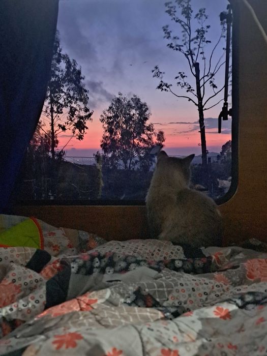 Caravana PYC Cruzeiro 4500