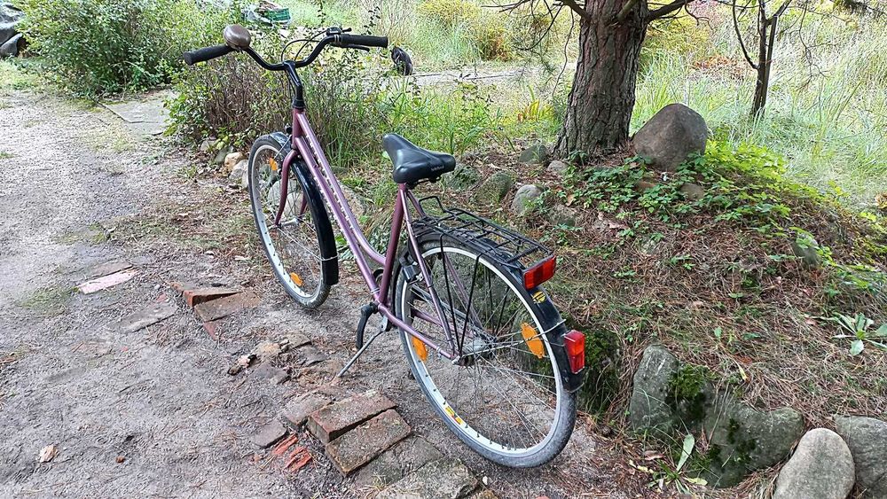 Rower Miejski Damski Express Hirty Eight 3 biegi Torpedo Damka 28