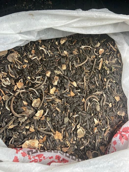 Семечка подсолнуха