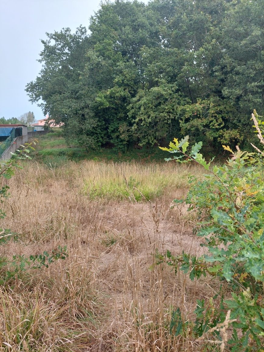 Terreno com 3500m2 em Coura