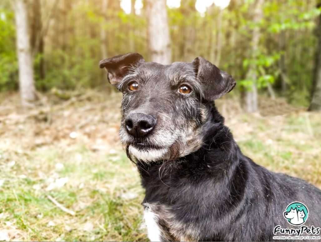 Cześć, jestem Holly i bardzo chciałabym mieć domek...