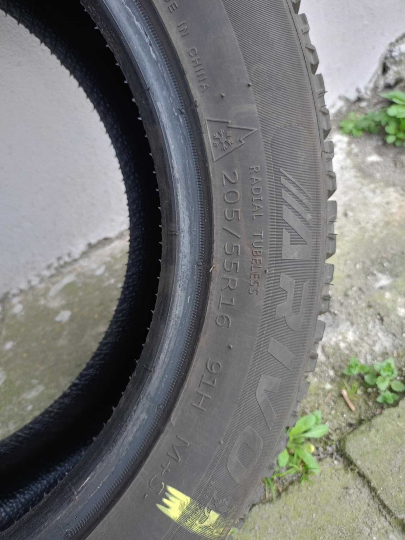 Opony zimowe Arivo Winmaster ARW1 205/55 R16 91 H M+S
