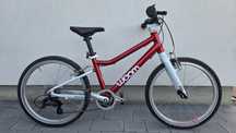 Rower dziecięcy woom 4 czerwony anniversary 10 lecie limited edition