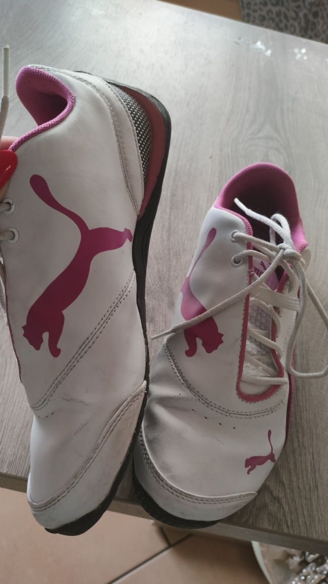 Buty sportowe puma