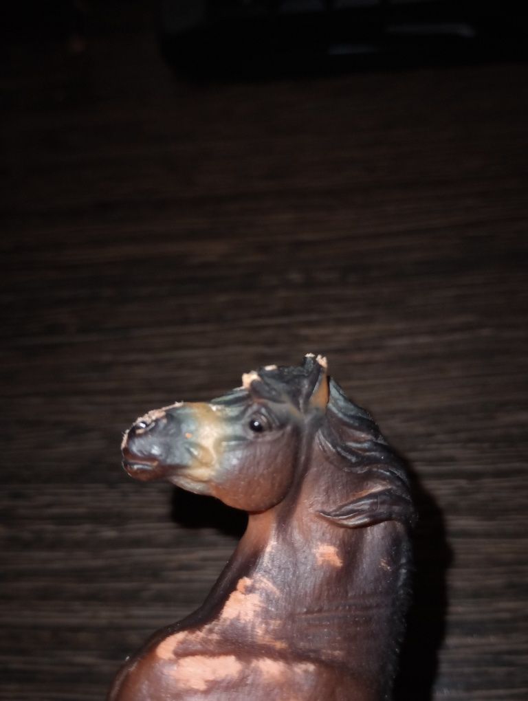 BODY POD CUSTOM Kuca Dartmoor Collecta
