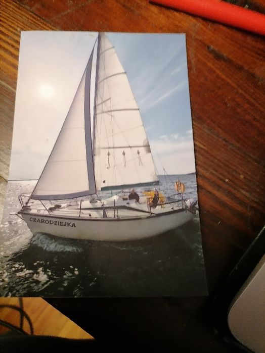 Żagiel fok jacht tango 730 2.55/7.70/8.12