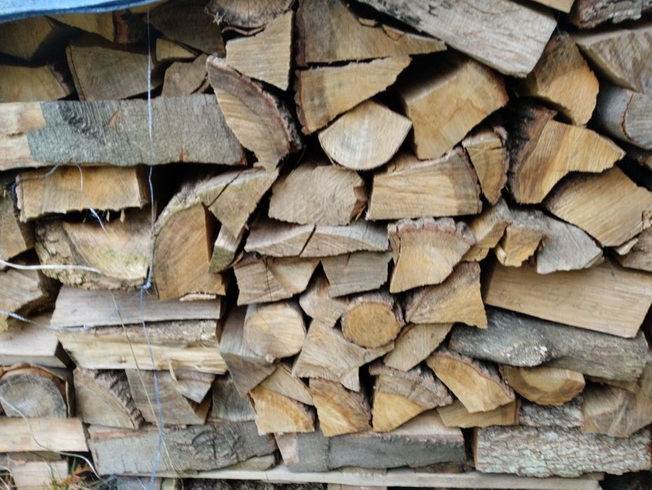 Drewno kominkowe buk. Powietrzno suche.