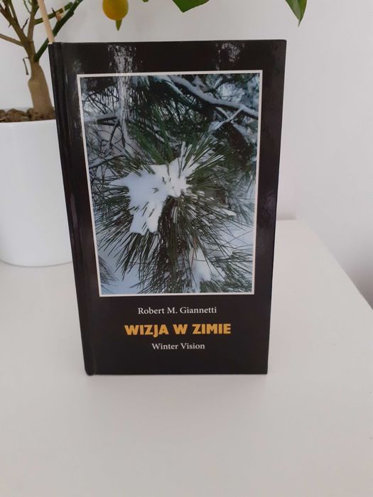 Robert M. Giannetti "Wizja w zimie"