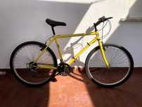Bicicleta roda 26
