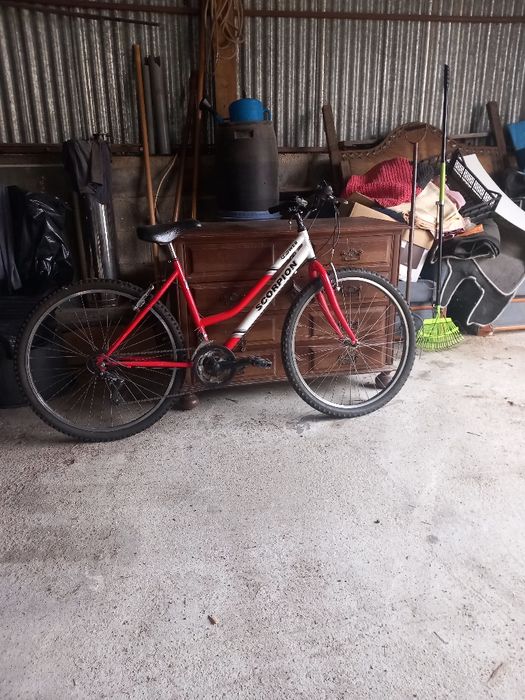 Bicicleta de senhora