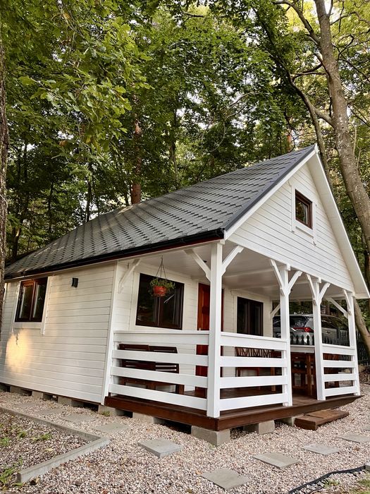 Domek w lesie nad jeziorem Żarnowieckim(Sylwester.Swieta)