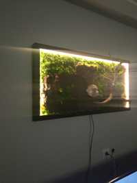 Obraz mech chrobotek podświetlany LED