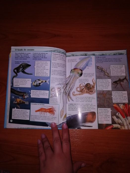 "A minha primeira enciclopédia da Natureza"