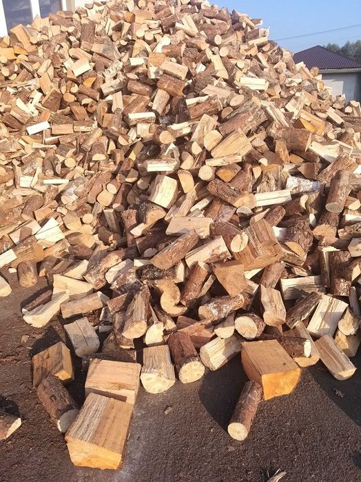 5.0.1.0.2.6.1.4.9 Drewno, drzewo kominkowe, opałowe