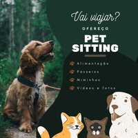 Pet Sitting Aveiro | Assistência ao Domicílio