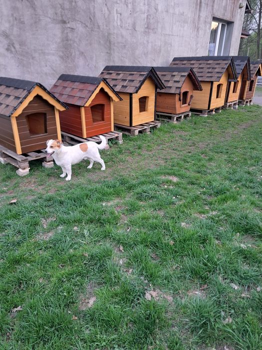 Buda dla psa ściągany dach, studnia ogrodowa, wyroby ogrodowe