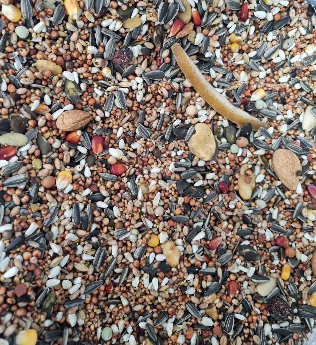 Karma dla papug dużych z owocami suszonymi 25 kg