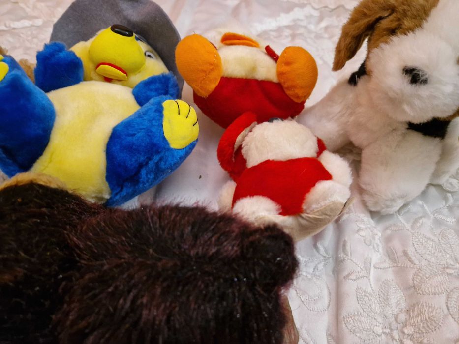 Muitos Peluche novos