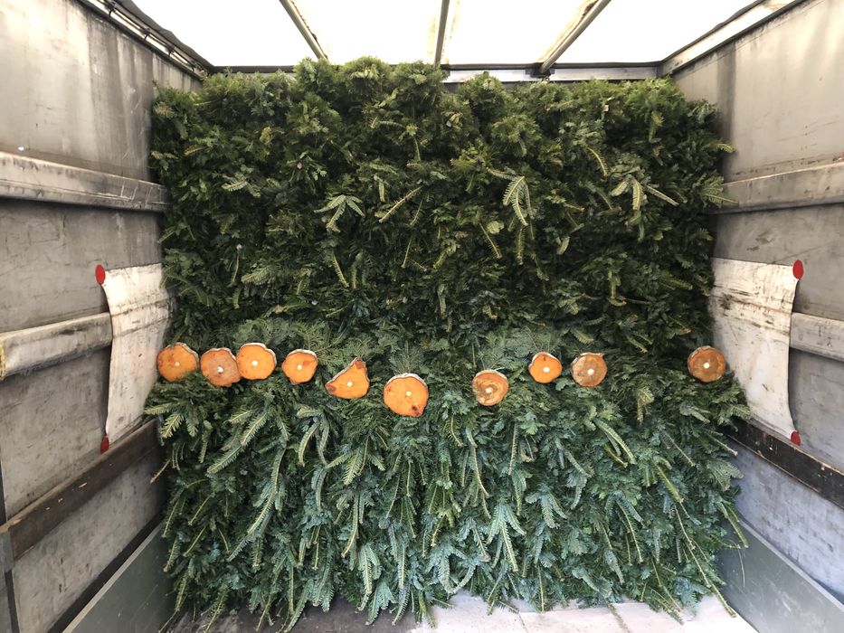 Ялинки збірні,вязані,плетені з живої хвої,новорічні ялинки ,бронюємо.