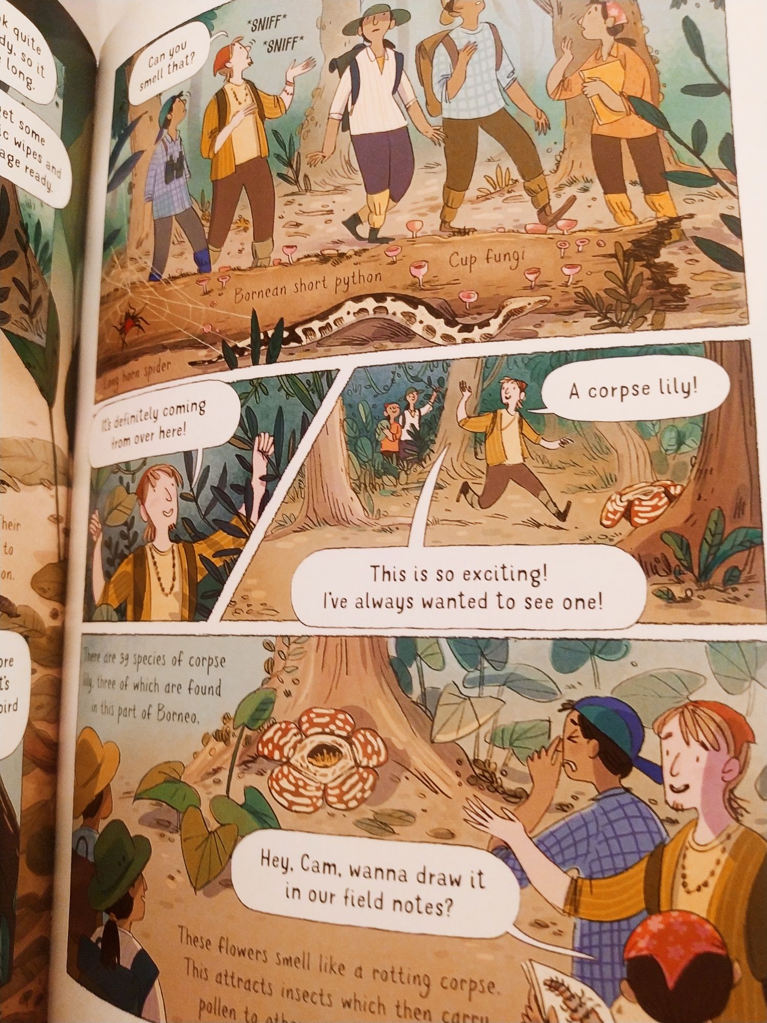 Komiks książka angielski English book