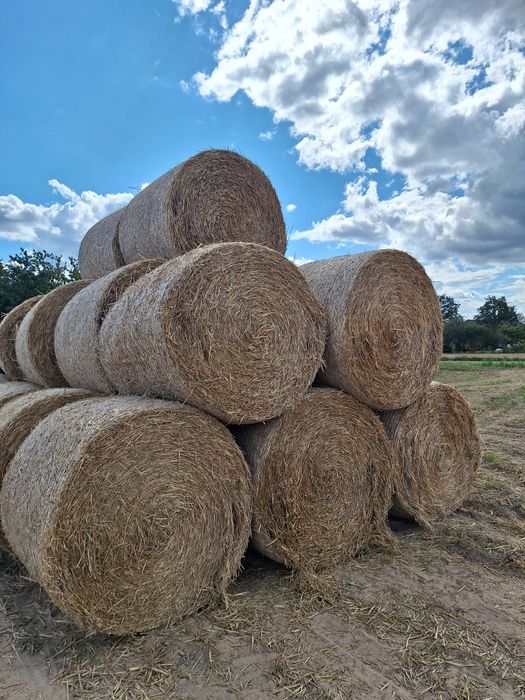 Sprzedam słome z 2025 roku