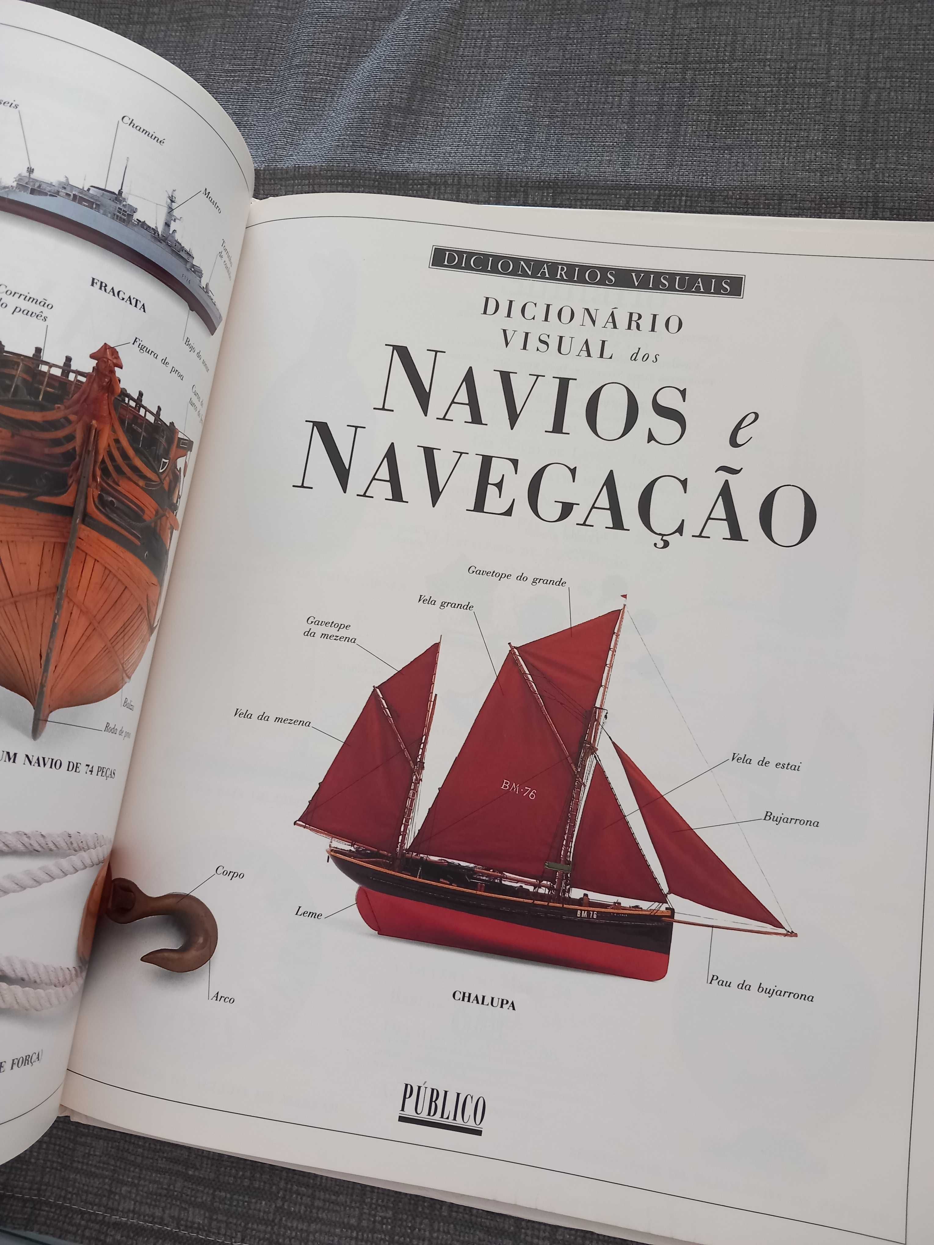 Livro de colecção,  Dicionario Visual.