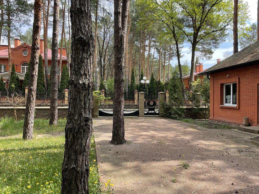 Конча Заспа /Козин / Сосновий Бір / Еліт  / найкраща ділянка 25 соток