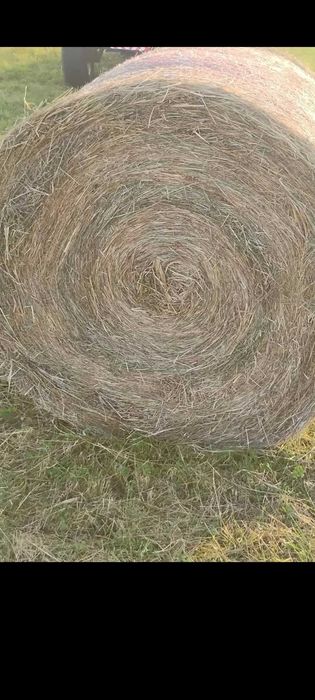 Sprzedam siano. Transport. FV