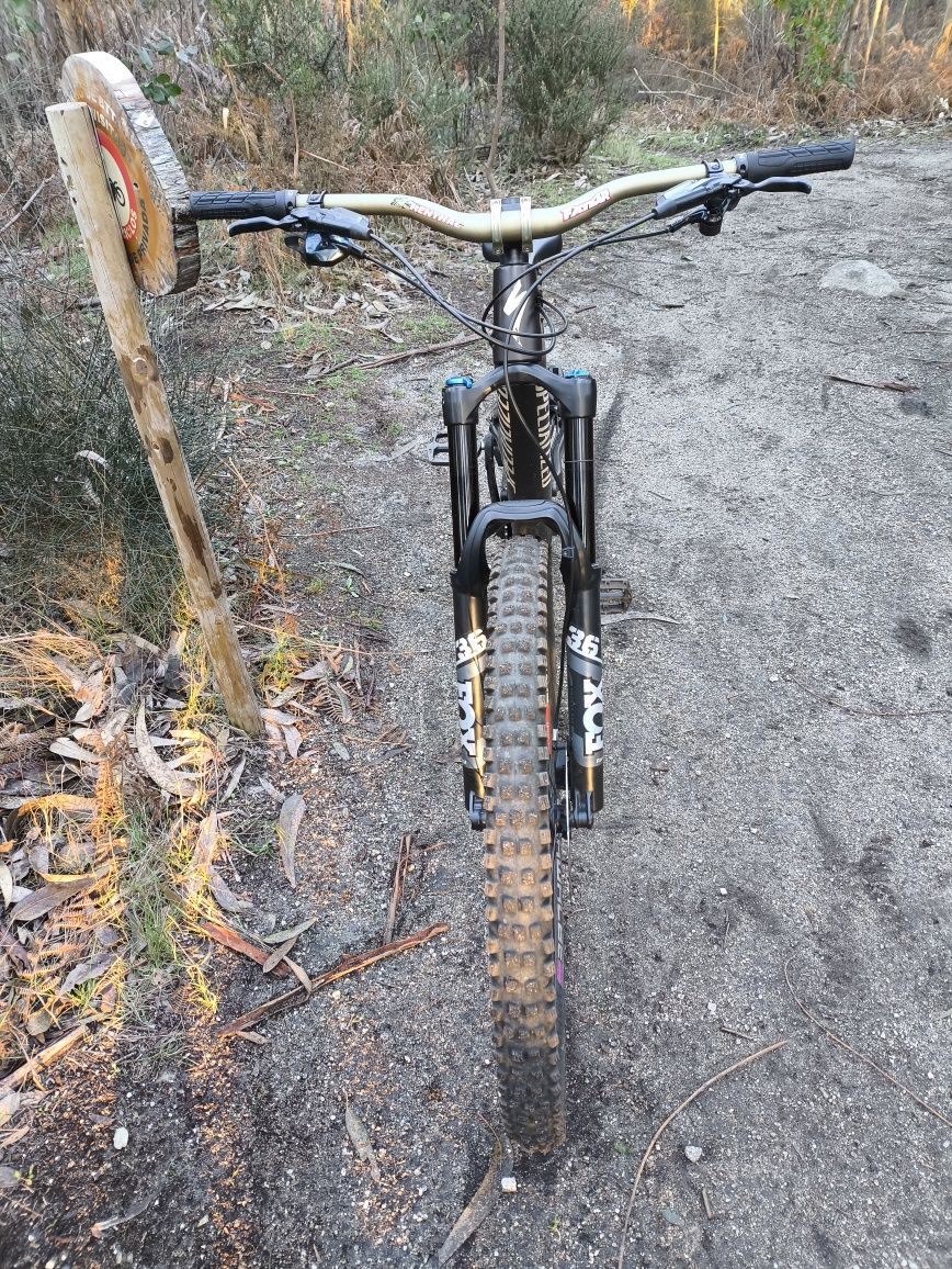 Specialized stumpjumper evo carbon