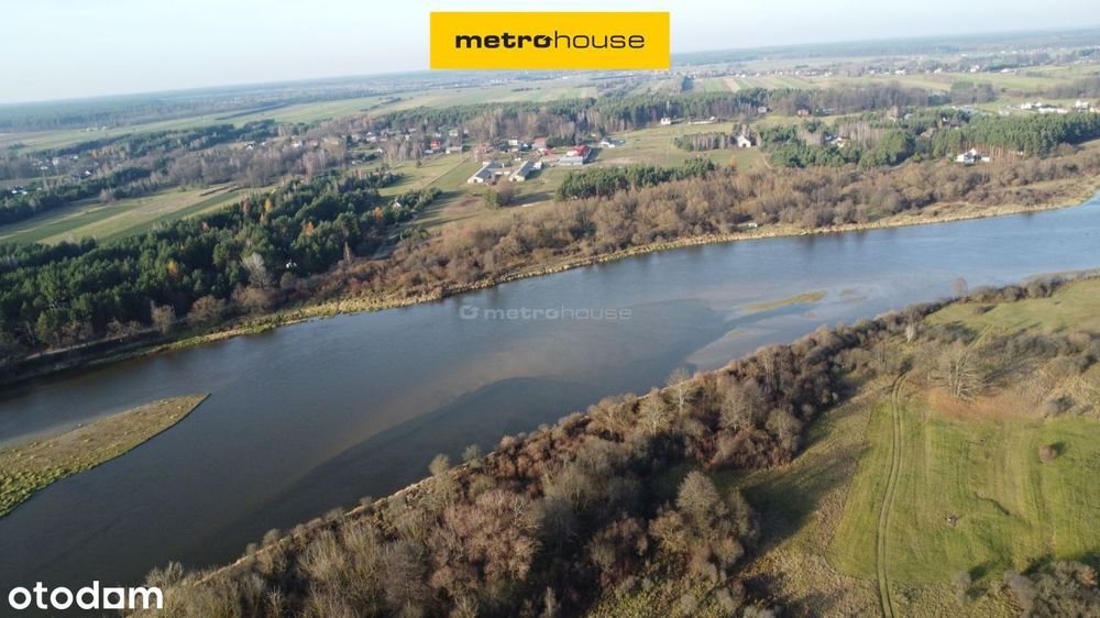 Działka, Brańszczyk