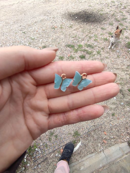Brincos borboleta