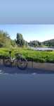 Bicicleta Scott Scale 965