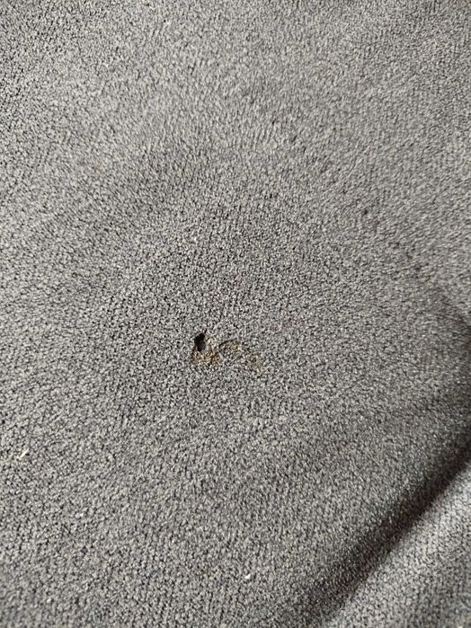 Narożnik z funkcją spania 300x200
