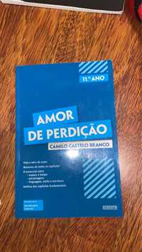 Amor de perdição- livro de resumos