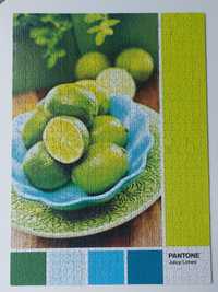 Puzzle Clementoni Pantone Juicy Lime 1000 el.