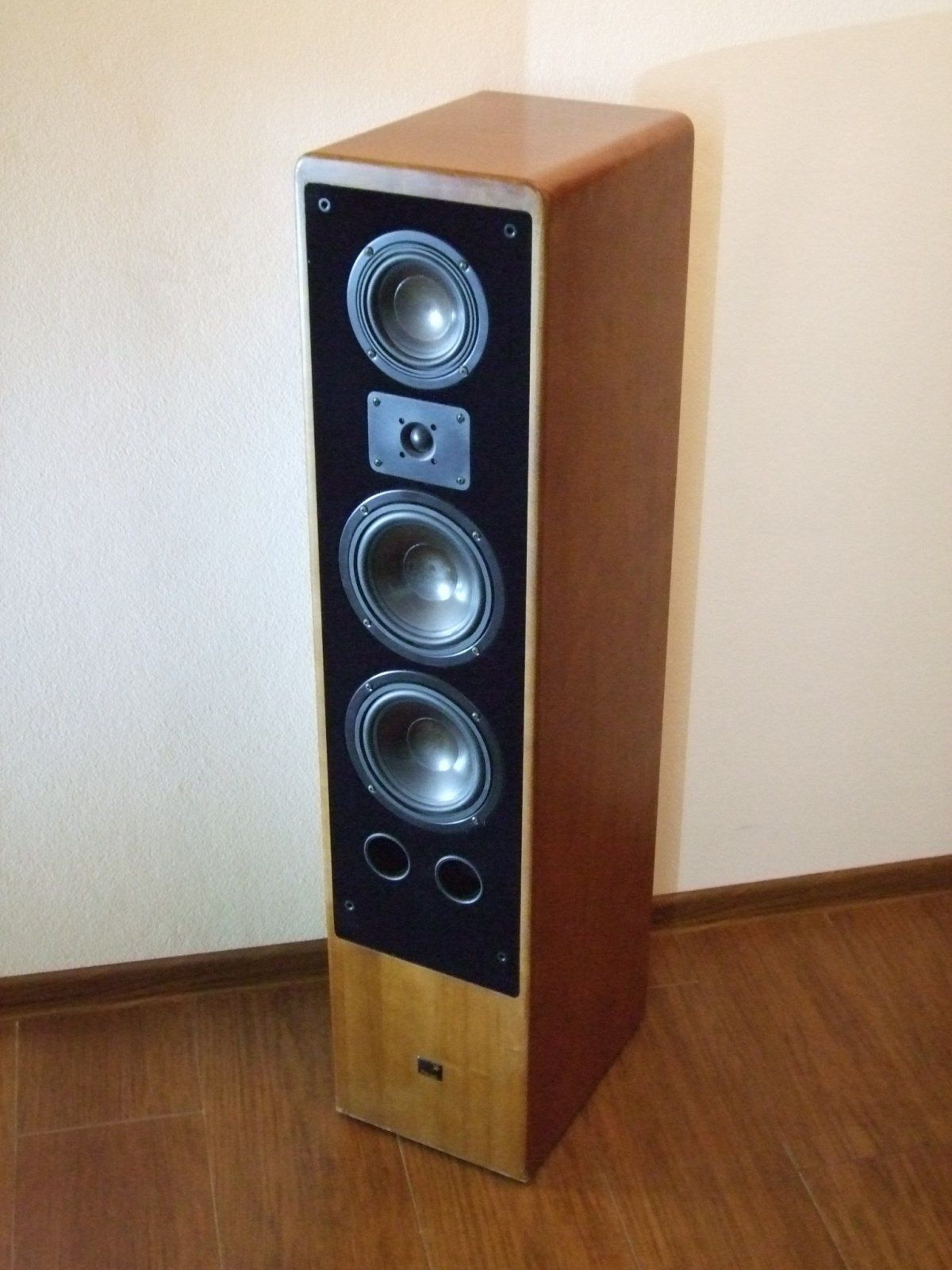 Diora Polaris 180 w obudowie Canton ergo.