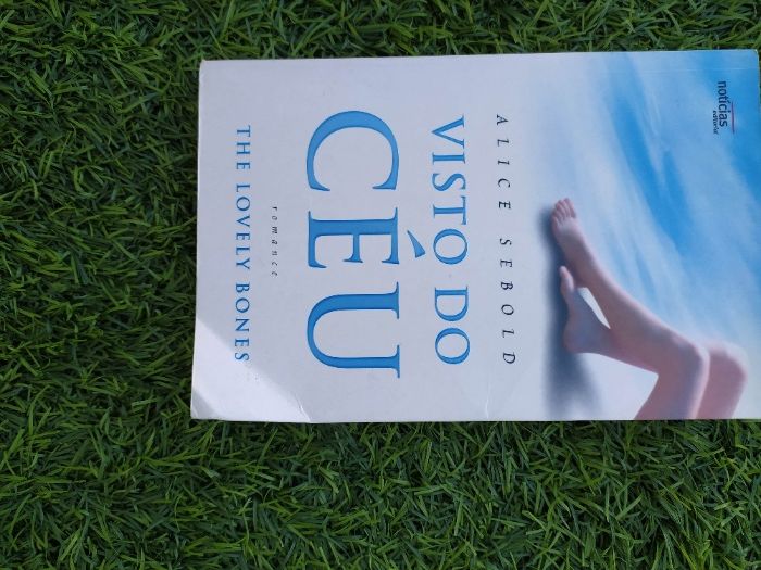 Visto do Céu - Alice Sebolb