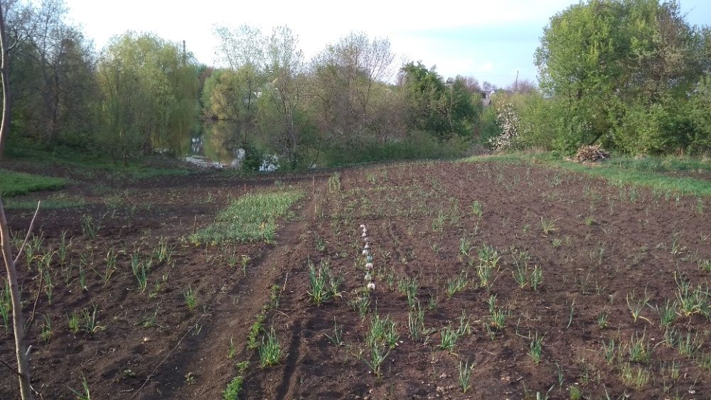 Продам будинок в смт Верхнячка