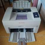 Принтер Xerox Phaser3117