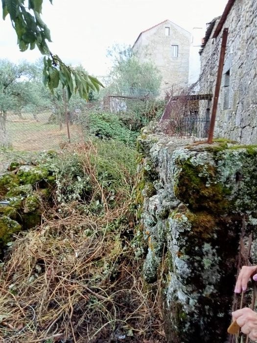 Moradia rustica em ruinas