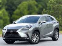 2020 Lexus NX 300