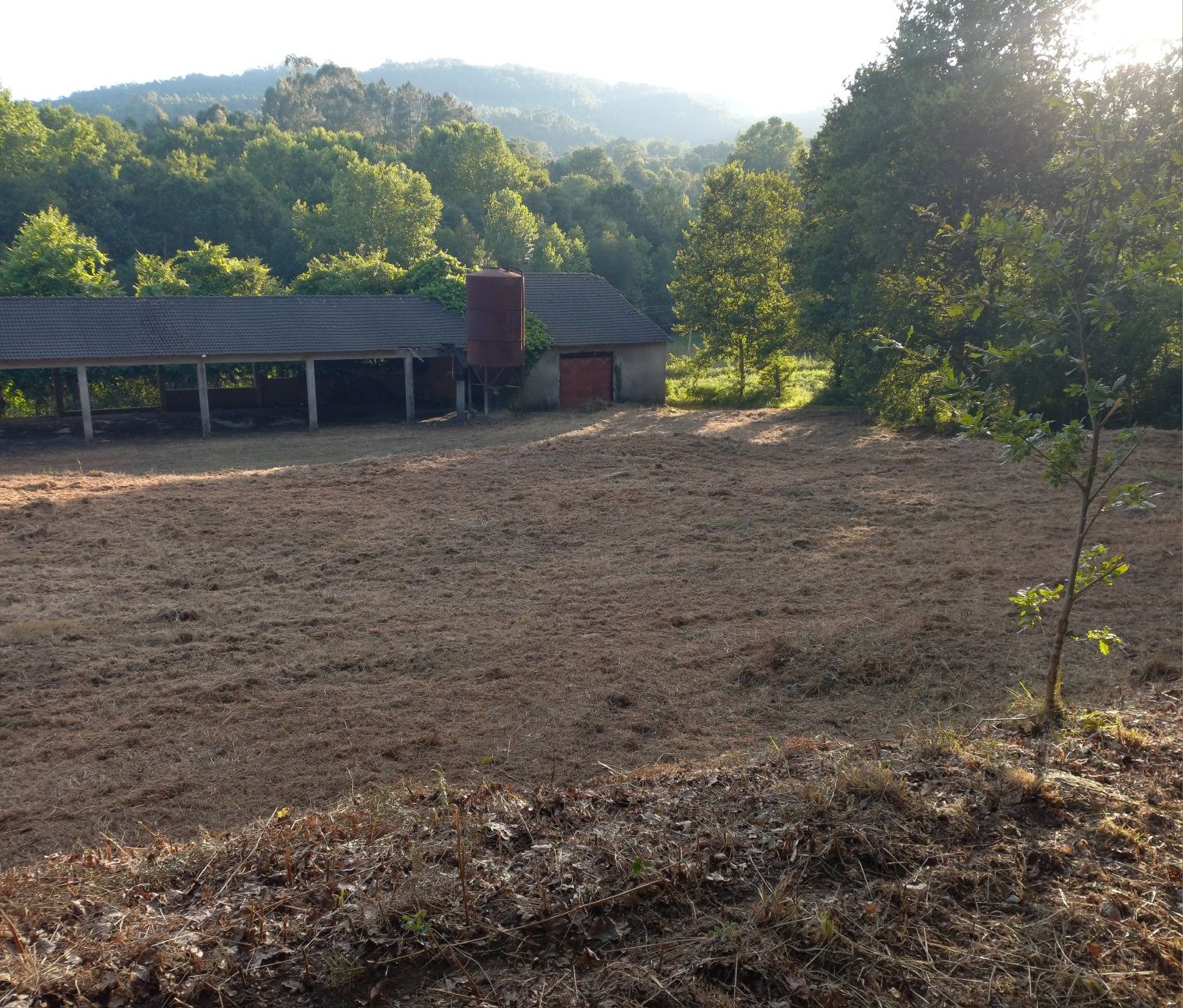 Limpeza de terrenos
