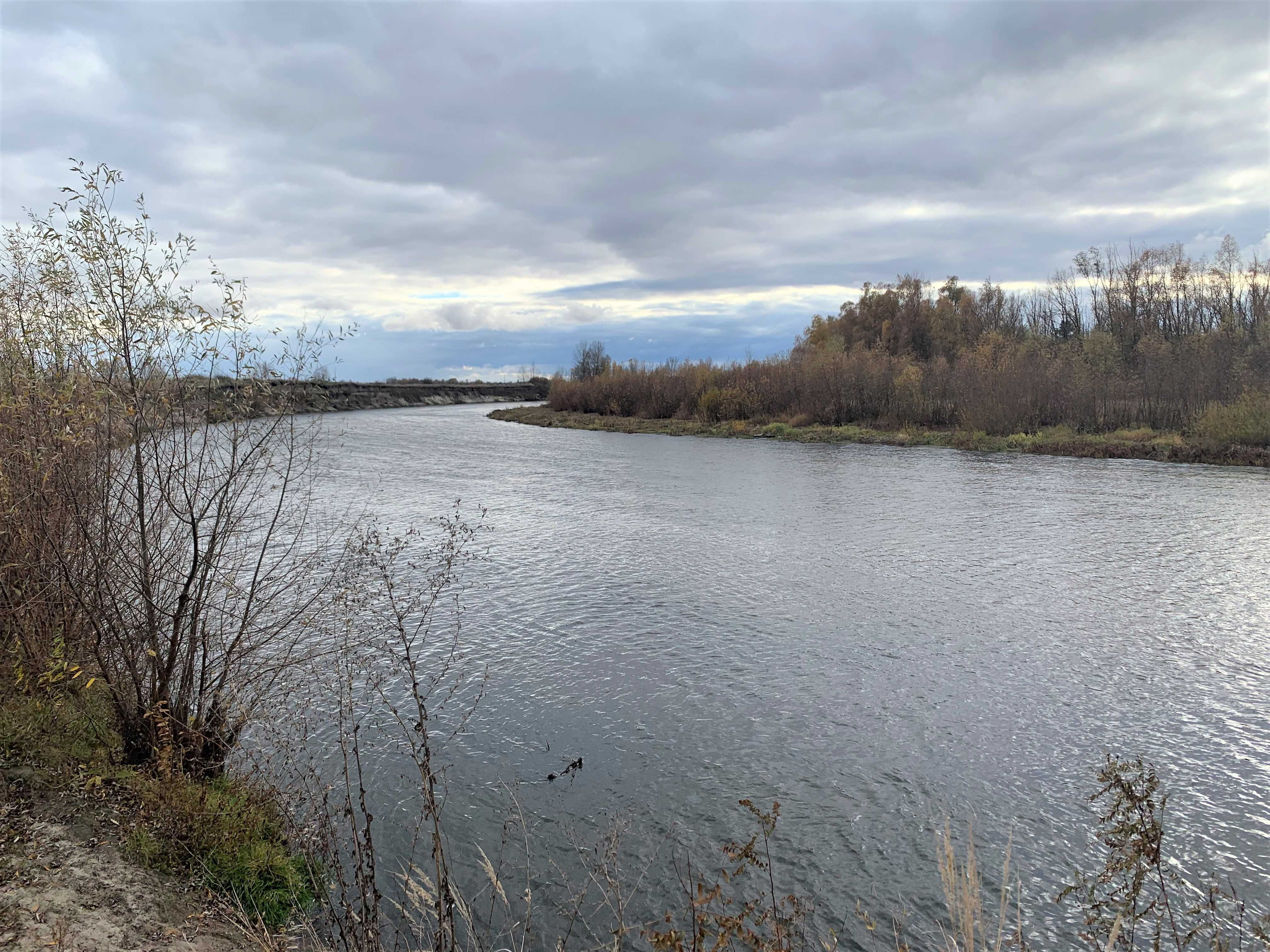 Участок у воды, 10 соток под застройку, выход к воде, с. Соболевка